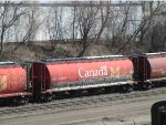 CP 606351